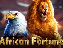 African Fortune screenshot